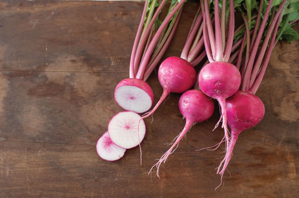 Hirosaki Red – Turnip Seed